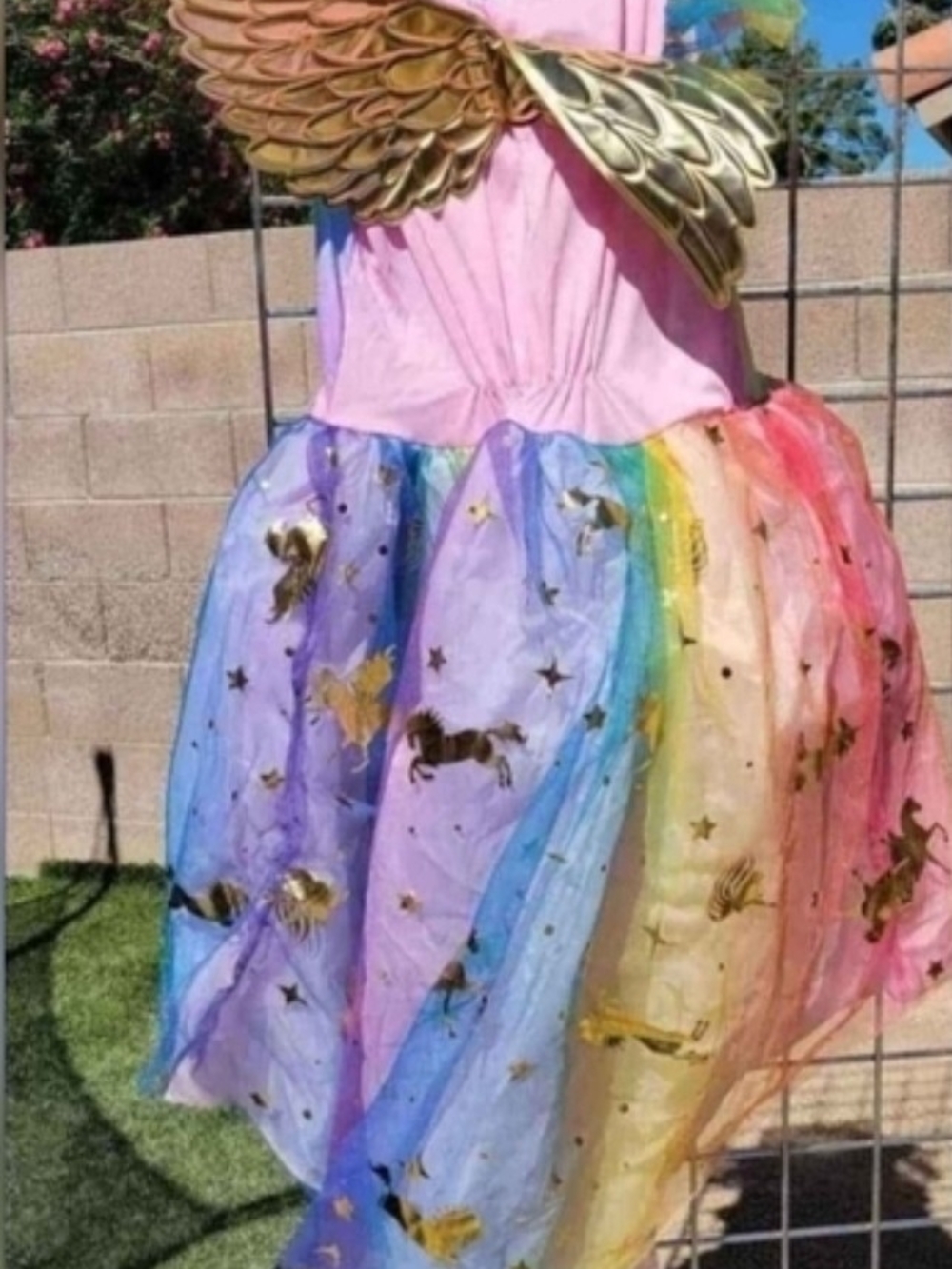 Rainbow Unicorn Girls' Costume Dress with Gold Wings